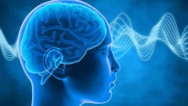 L'humour, à l'opposé de la déception est de croire qu'un suçon ça puisse partir en sucette !