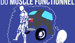 Comment faire du fonctionnel ?