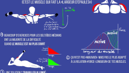 Travaille efficacement les deltoïdes médians
