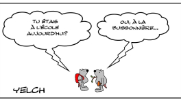 Différentes écoles