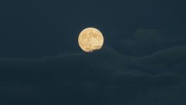 Buveur de lune