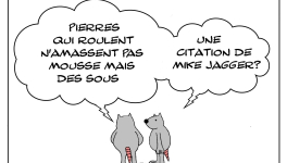 Pierres qui roulent s'en foutent de ne pas amasser de mousse