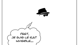 Le rat qui était invisible