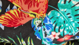 À rebours du possible