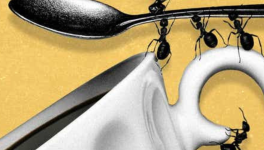 INTERFERENCES, PARASITES