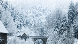 Êtes vous éligible à la déception ?