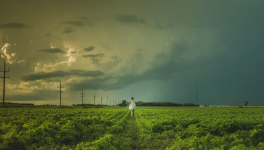 10 Years Is a Period Long Enough to Make Me Homesick