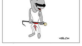 stars du rock des rats : Freddie Mercury