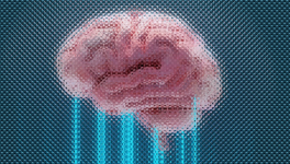 Alzheimer, ma phobie