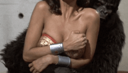 Gare au Gorille ! Chasseur à la robe noire et au col blanc...