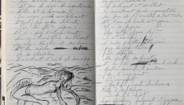 Petits Papiers Volants : Journal D'écriture 2003-2018 - Mercredi 2 mai 2018