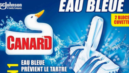 Canard