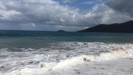 A qui profite le crime ?