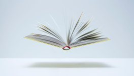 L'humour est une manière ludique de rendre le sourire à la tristesse.