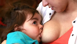 Quand Margot dégrafa son corps sage...