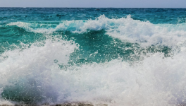 Epuisement et renaissance