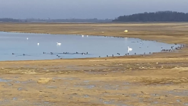 CTW47 - Lac de la forêt d'Orient : janvier 2026