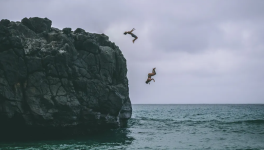 Plongez dans l'aventure du voyage