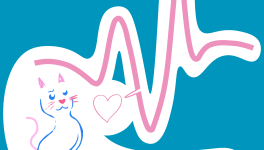 Mes Horaires sur les Tiens (E4_S1) : teaser sous-titré