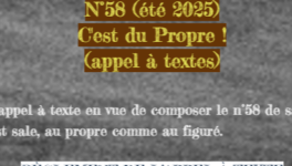 Revue BIGORNETTE : AT "C'est du propre !"