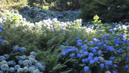 Michel Cosem, natureparle