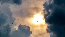 Pluie sur Zanzibar
