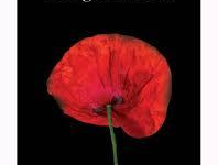 Les gratitudes