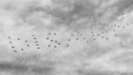 "A promise please : keep being Jewish" (reporting by Peace Nobel Prize, Shimon Peres : "never give up your dream")JUSTICE MUST COME