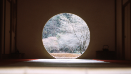 7 - L’IA met à nu la différence entre écrire… et produire du texte