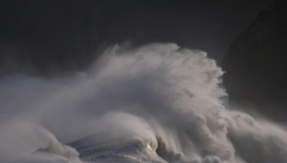 Les finalités non voulues