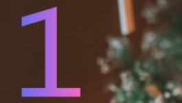 Case 1 : Le cheval à bascule .