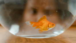 Ceux qui n'ont jamais tort...