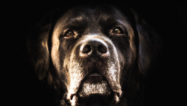 Quelle artiste ! Photo by Alexandre Brondino on Unsplash