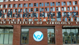 Politics is not showcase : THE COVID19 CASE.