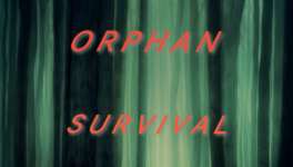 Chapitre 9 - Infection