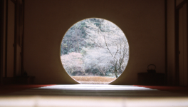 8 - Texte ≠ Écriture / Et les peurs des créatifs...