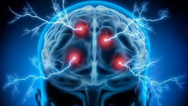 L'humour n'est qu'éructation d'un esprit d'air rangé !