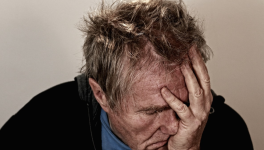 Jeannot et le Cerf...