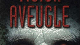 Vision aveugle