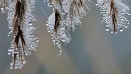 Nature enchanteresse