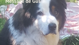 Message de Gus : Dépassement de soi et détachement