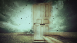 Leur sinistre réalité