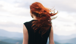 L'Envol de l'albatros aux yeux verts by Jean Michel Gros