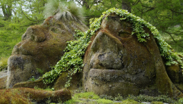 Les trolls des forêts