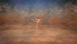 Cunningham (2019) Alla Kovgan