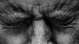 Your Honor - Saison 2