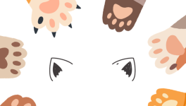 Si je meurs avant mes chats