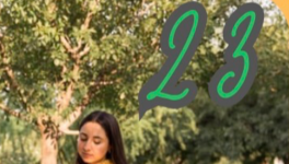 Case 23 : 🌉 Karl et la brume de l’ouest.