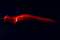 Piment