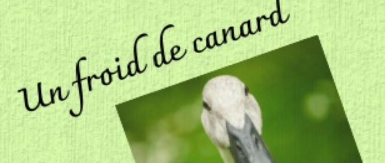 Exercice d'écriture - Un froid de canard